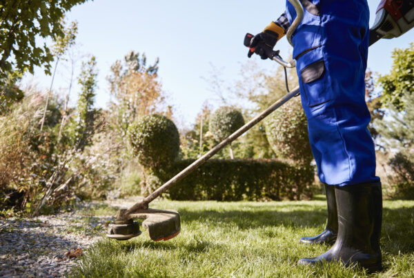 Landscaping & Lawn Care